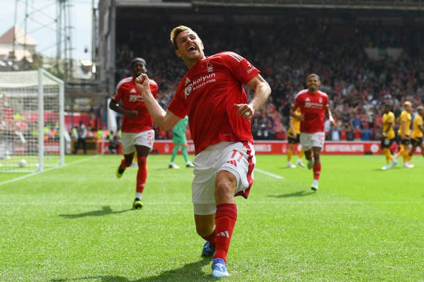 像与追随者 像与追随者