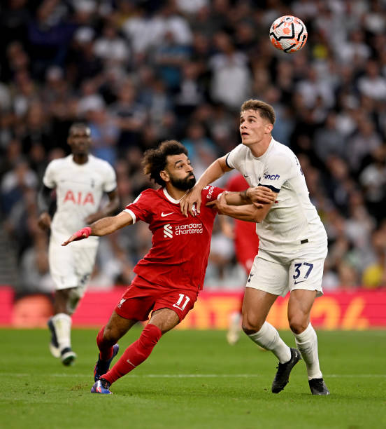 入现实媒体 入现实媒体